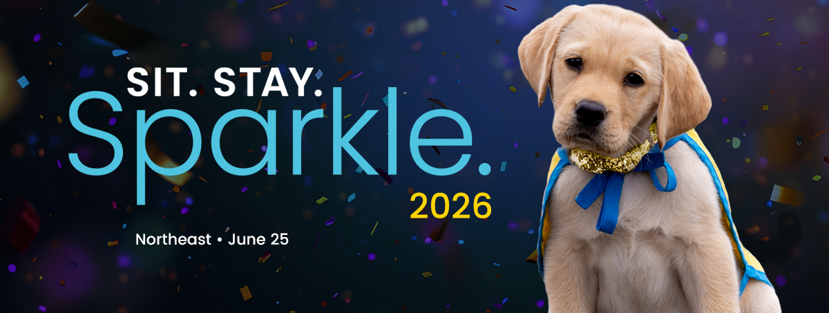 Sit. Stay. Sparkle. Northeast